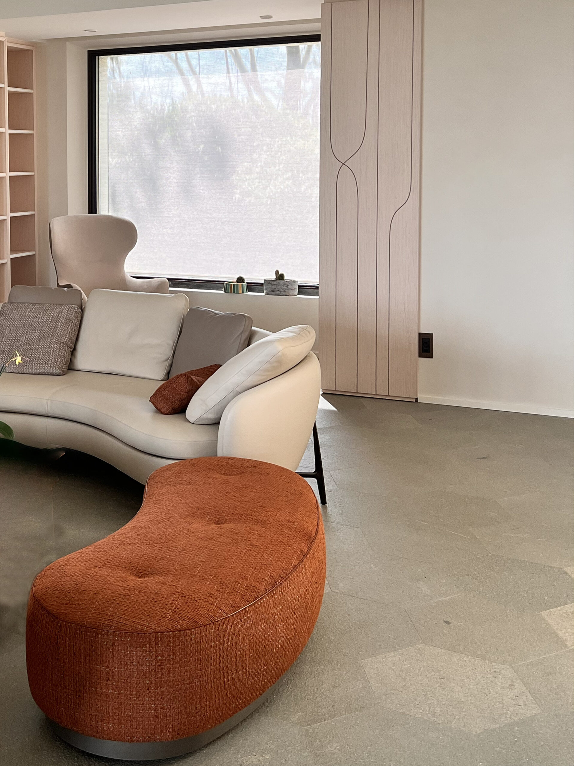 Living Room Sofa and pouf